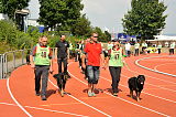 Siegerehrung, Victory Ceremony