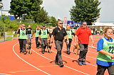 Siegerehrung, Victory Ceremony