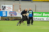 Gino von den wilden Grauen