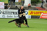 Don de Lupo