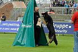 Don de Lupo