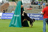 Don de Lupo