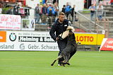 Ares vom Rabenhorst