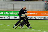 Ares vom Rabenhorst