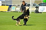 Hancook von der Hundshardt