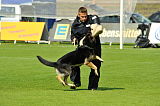 Hancook von der Hundshardt