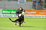 Hancook von der Hundshardt