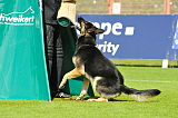 Hancook von der Hundshardt