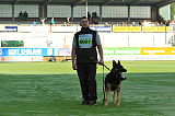 Bosco vom Wolfsbankring