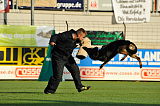 Bosco vom Wolfsbankring