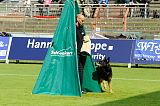 Jack vom kleinen Zigeuner
