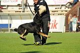 Zorro von der Mordschau