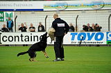 Cidman vom Wolfsdreieck