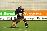Zico von der kleinen Birke