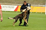 Gerry vom Weißeritztal