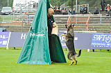 Prada vom Andi