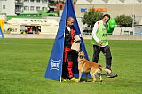 Dack vom schwarzen Habicht
