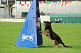Ivor vom Pacific