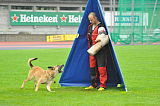 Mecberger Lulu