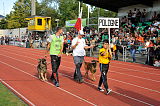 Siegerehrung, Victory Ceremony