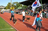 Siegerehrung, Victory Ceremony