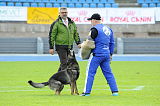 Alyscha Anmireto Moravia
