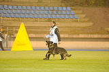 Gerry vom Waisagrund