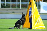Jago vom Haus Sevens