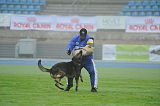 Szecsivari Diego