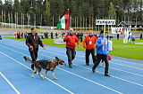 Siegerehrung, Victory ceremony