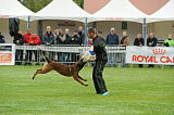 Ager Veranis K-9 Dog Center