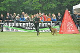 Ager Veranis K-9 Dog Center