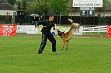 Kazak med Jablani