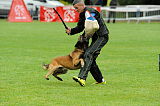 Alto Veranis K-9 Dog Center