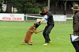 Alto Veranis K-9 Dog Center