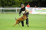 Alto Veranis K-9 Dog Center