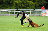 Alto Veranis K-9 Dog Center
