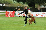 Insane van de Berlex-Hoeve