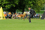 Jamboree von Dorlatos