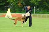 Red Bull vom Further Moor