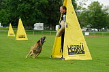 Red Bull vom Further Moor