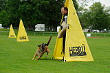 Red Bull vom Further Moor