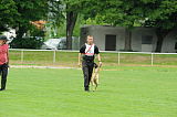 Chucky von der Silberschnauze