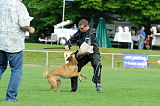 Boy vom Streitwald