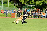 Pepper vom Further Moor