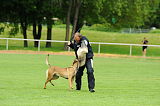 Argo von Asega