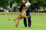 Argo von Asega
