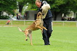 Argo von Asega