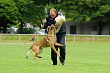 Argo von Asega