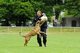 Argo von Asega